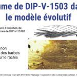ps301_Diapositive70.JPG