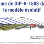 ps301_Diapositive71.JPG