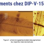 ps301_Diapositive78.JPG