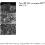 ps301_Diapositive88.JPG