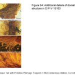 ps301_Diapositive89.JPG