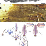 ps301_Figure4.jpg