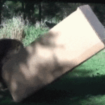 ps303_a5a3ed239b46cf78e0f52341a14cbf2c.gif