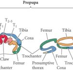 ps305_Image3.jpg
