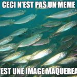 ps325_6f500ee8141ac399f857d0dc405c9a0f.jpg
