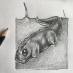 Buffalo Bifle