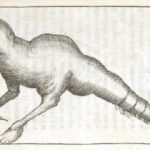 Espèce animale sorti par une femme, Nicolas Andry