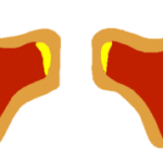 ps351_cf44abb47b40c7742e1e98708af05d72.gif