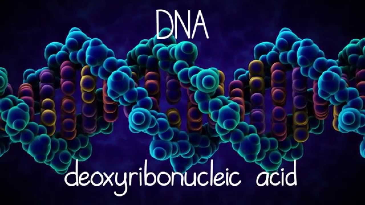 Podcast Science 361 – Réparer son ADN comme personne.