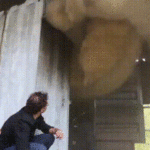ps362_a5006a483ae29cd2fe5f24a70c022efd.gif