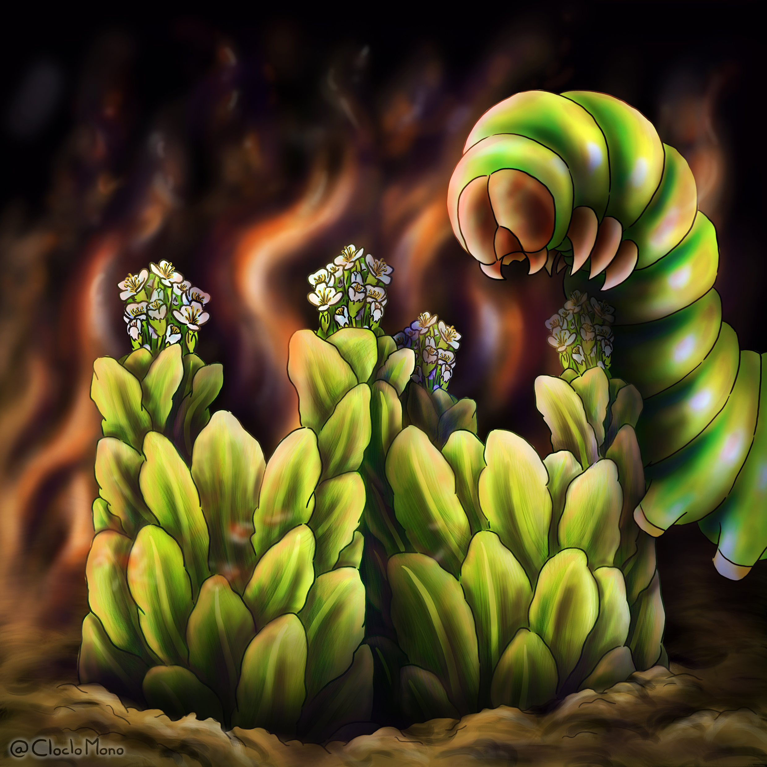 Podcast Science 365 – Les plantes versus le monde, épisode 1