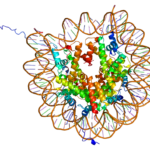 ps372_Protein_H2AFJ_PDB_1aoi.png