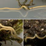 ps397_0630ced3f659b9f5718d9390b599976a.jpg