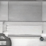 ps397_1-The-New-York-State-IPM-Program-Journal.gif