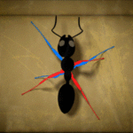ps397_Fourmi.gif