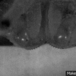 ps397_Planthopperjump2.gif