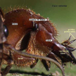 ps397_image_9.png