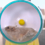 ps402_1BU.gif