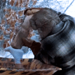 ps409_fe3c7253ad244cf76e21880ba6e92eb8.gif