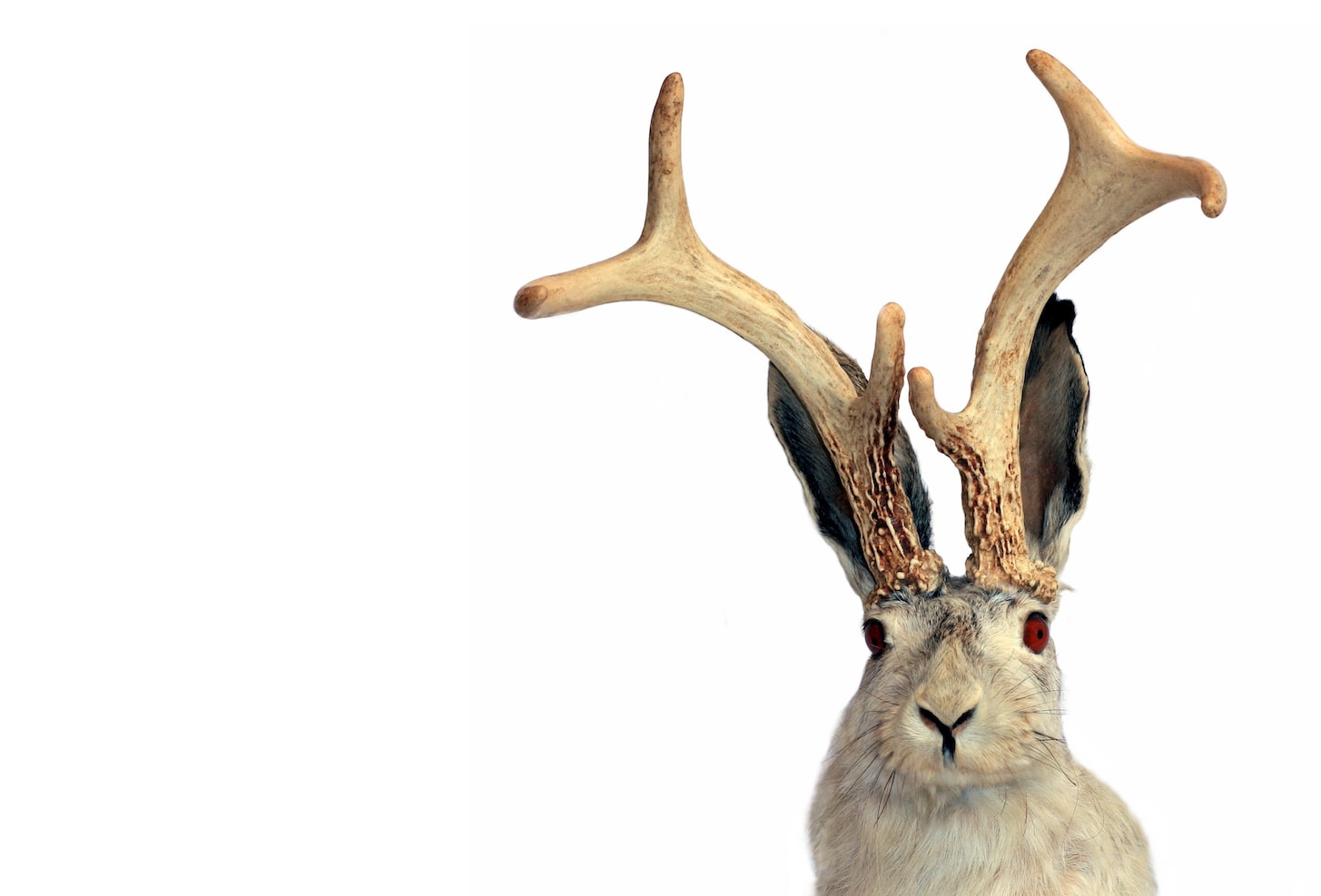 Podcast Science 488 – Canulars