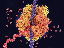 Podcast Science 513 – La PCR