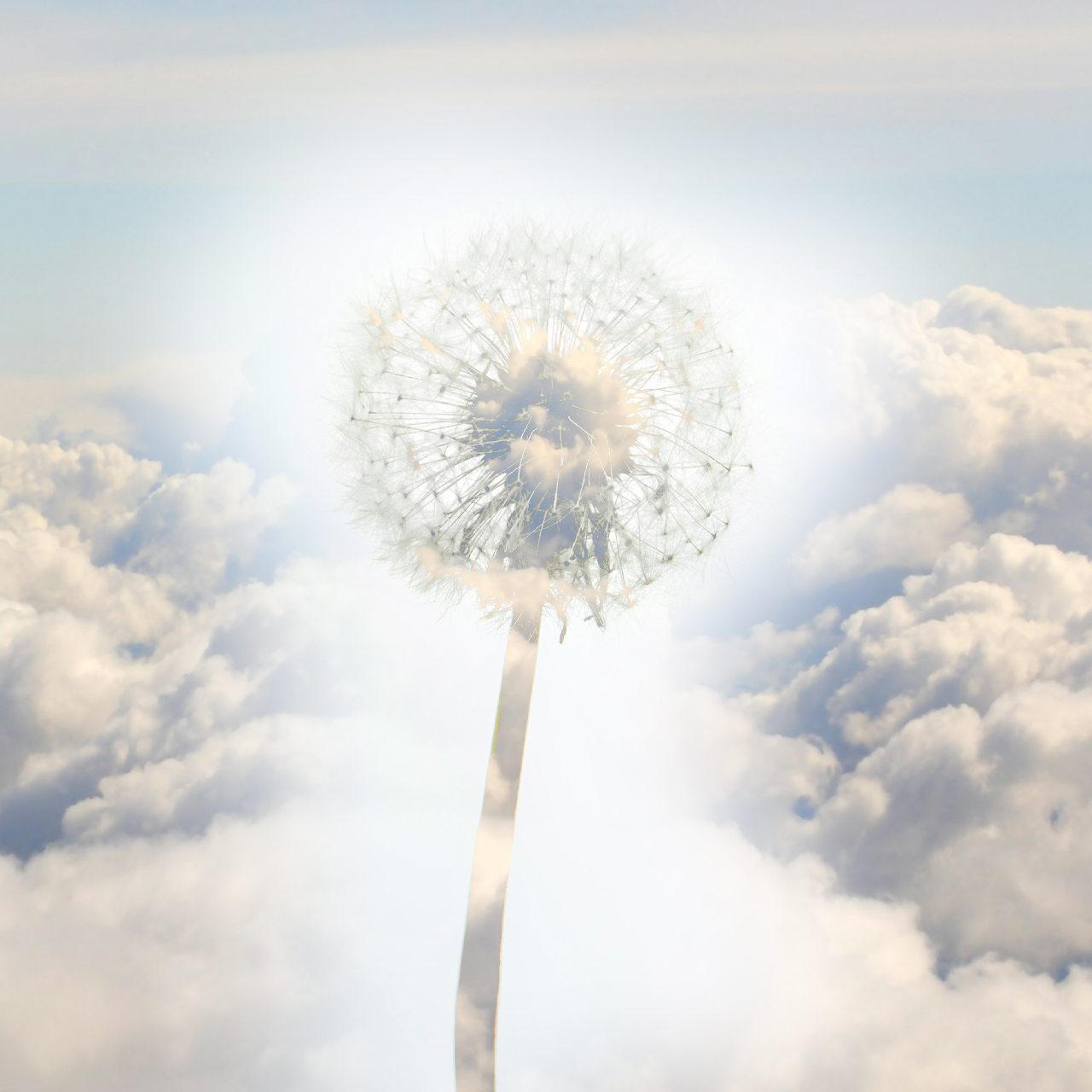 Podcast Science 525 – Y a de la science dans l’air !