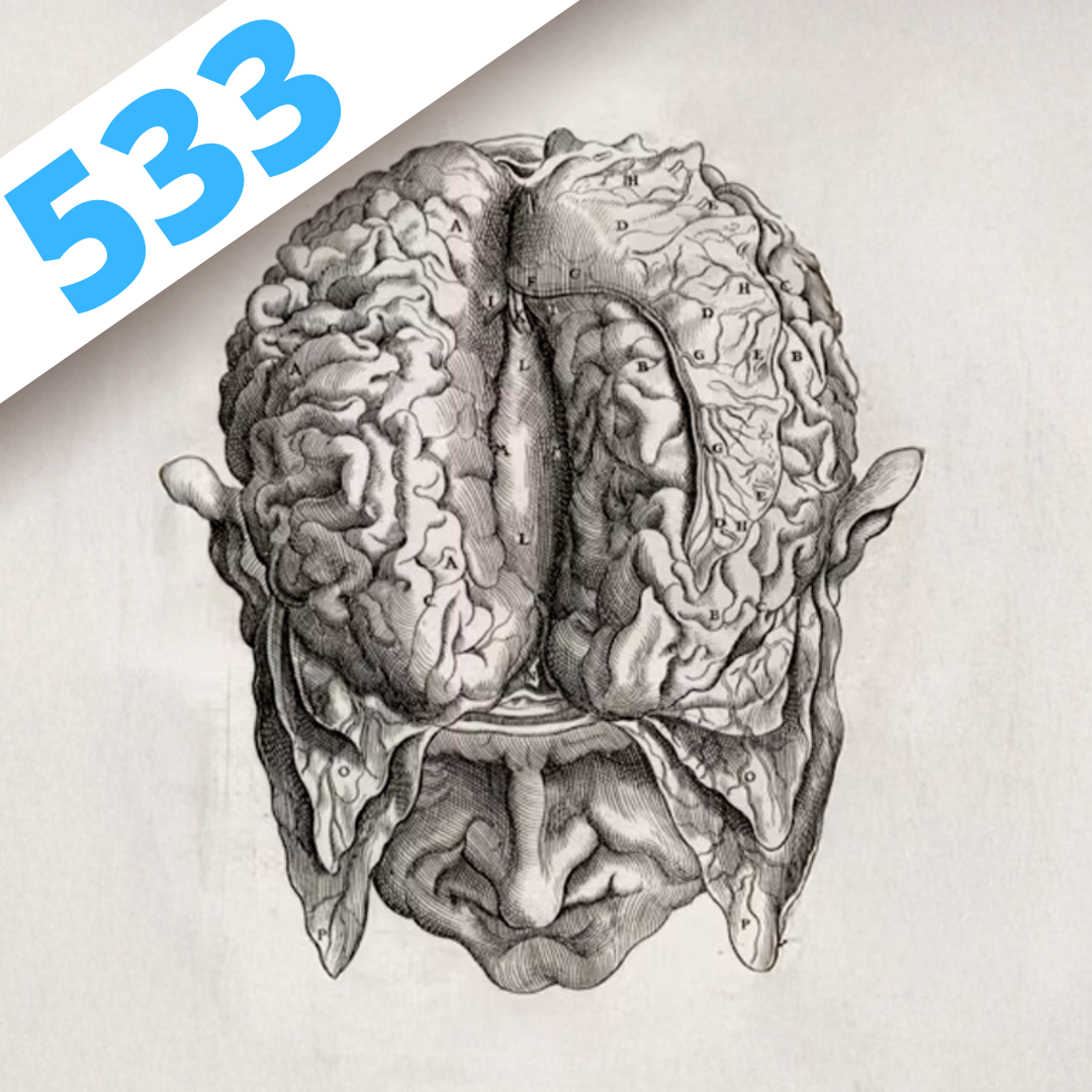 Podcast Science 533 – Histoire(s) de cerveaux